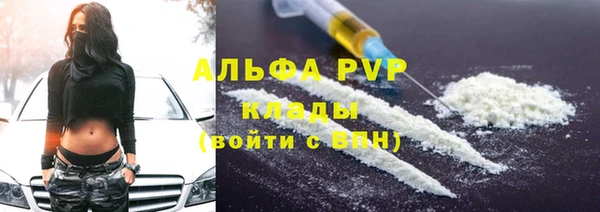сатива Куйбышев