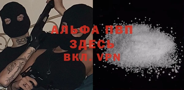 сатива Куйбышев