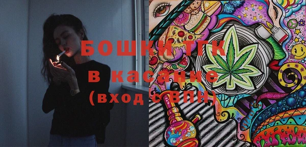 стаф Кулебаки