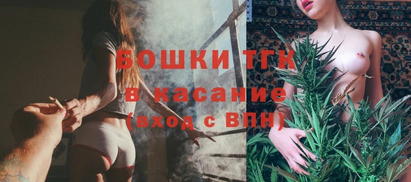 стаф Кулебаки
