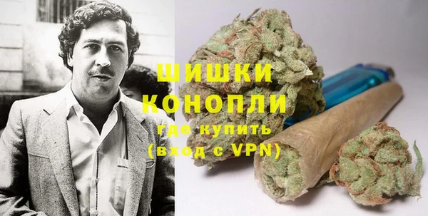 сатива Куйбышев