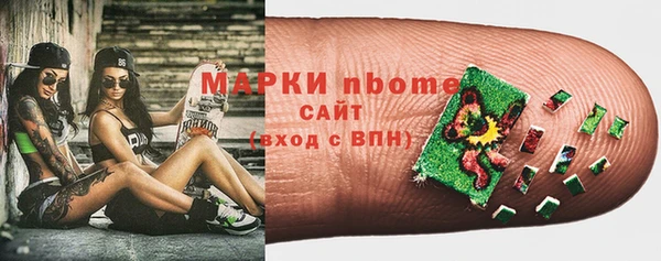 стаф Кулебаки